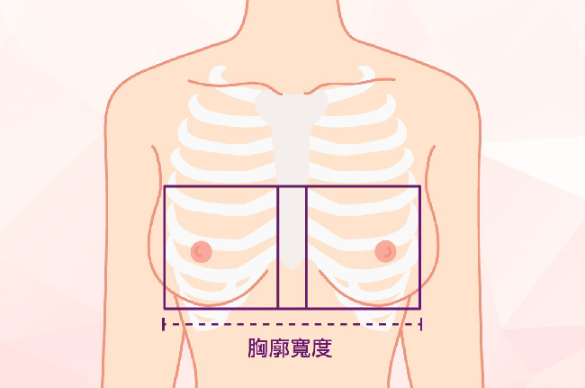 愛美新知-隆乳材質比較，隆乳材質怎麼選，最自然的隆乳材質，許永昌醫師，台中隆乳醫師推薦，曼陀，光滑面，絨毛面，圓盤型，水滴型，柔滴，女王波，魔滴，胸廓寬度