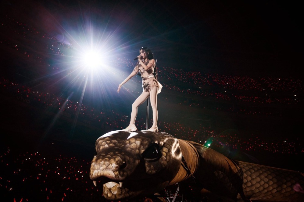 FitMe韓國完形美臉部植入物：打造專屬你的自然輪廓