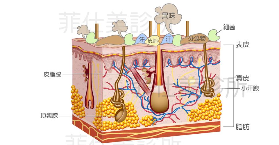 無代償性出汗