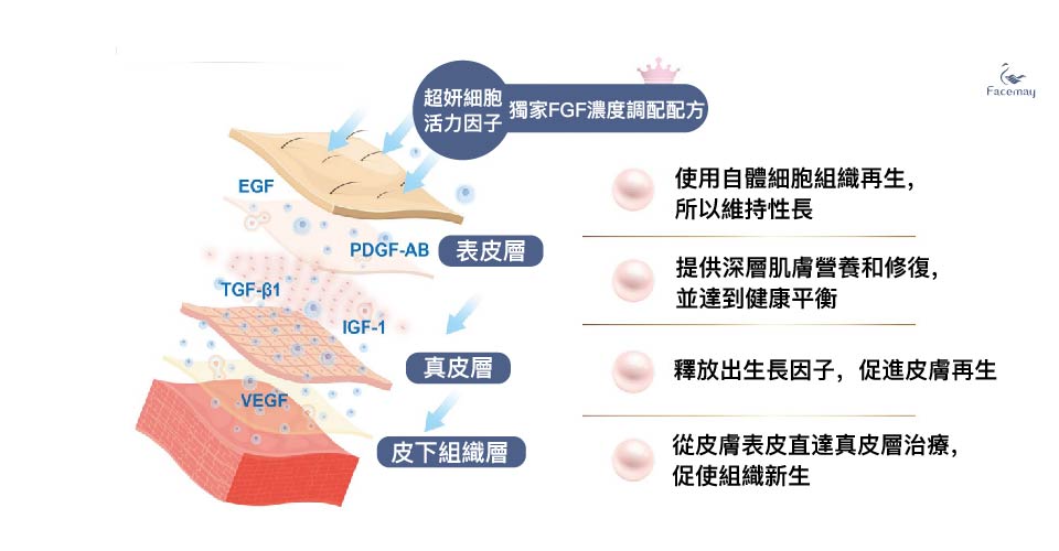 獨家FGF濃度調配配方